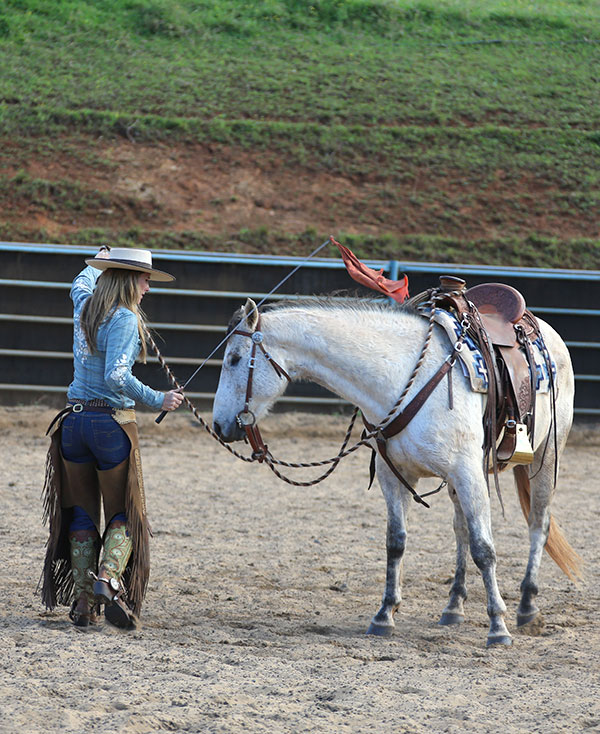 Piiholo Ranch Horsemanship