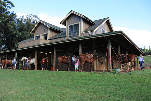 Piiholo Maui Horseback Riding Club