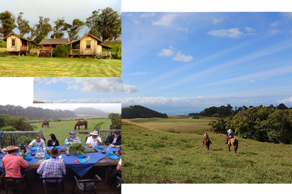 Maui Horse Stables