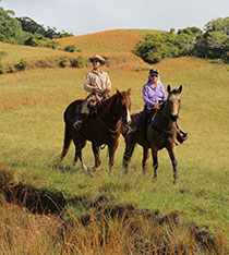 2 hour Maui Horseback Ride