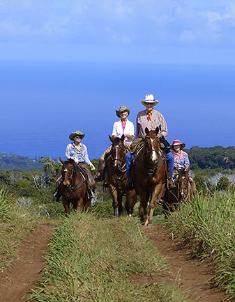 Maui Horseback Lunch Ride
